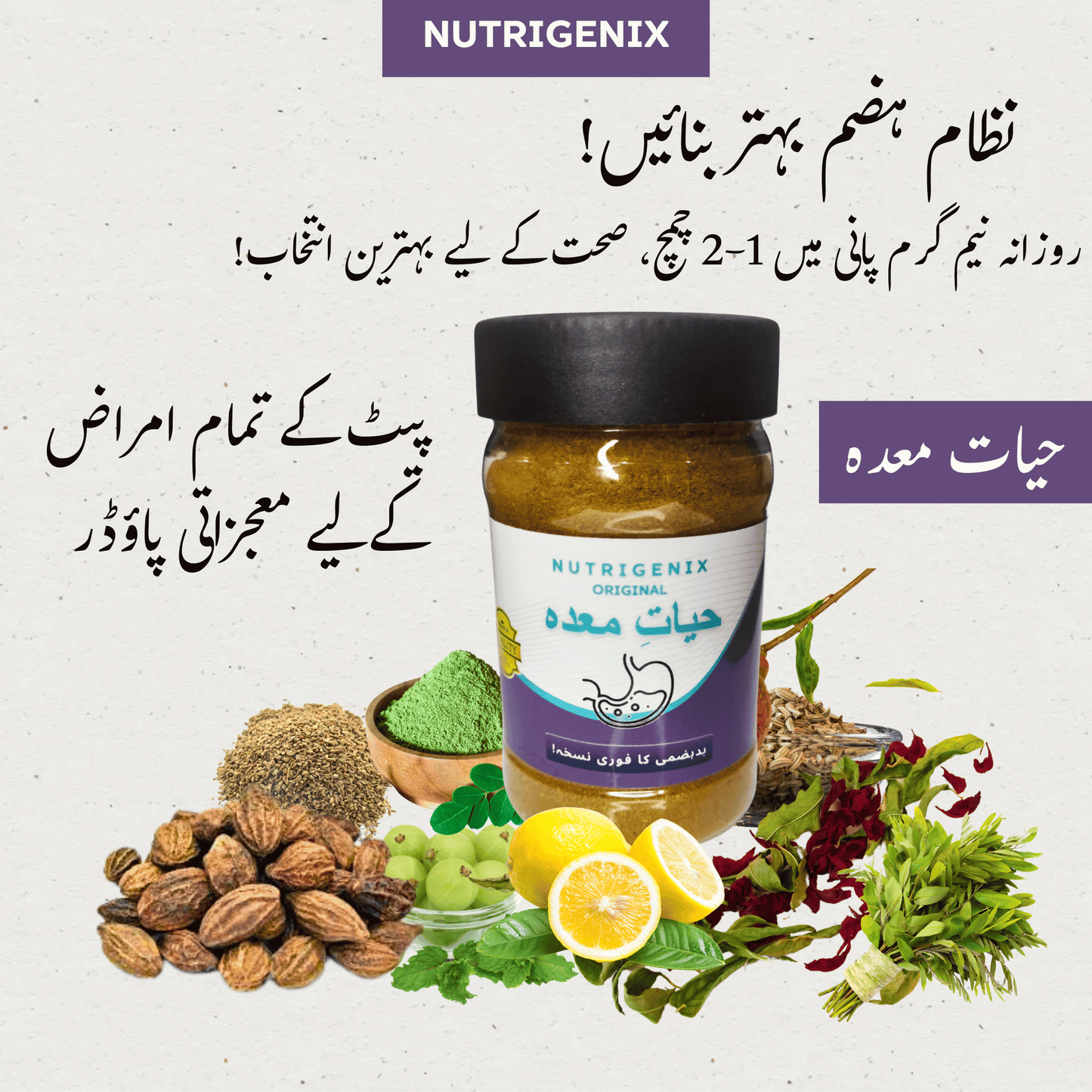 Hayat-e-Maida