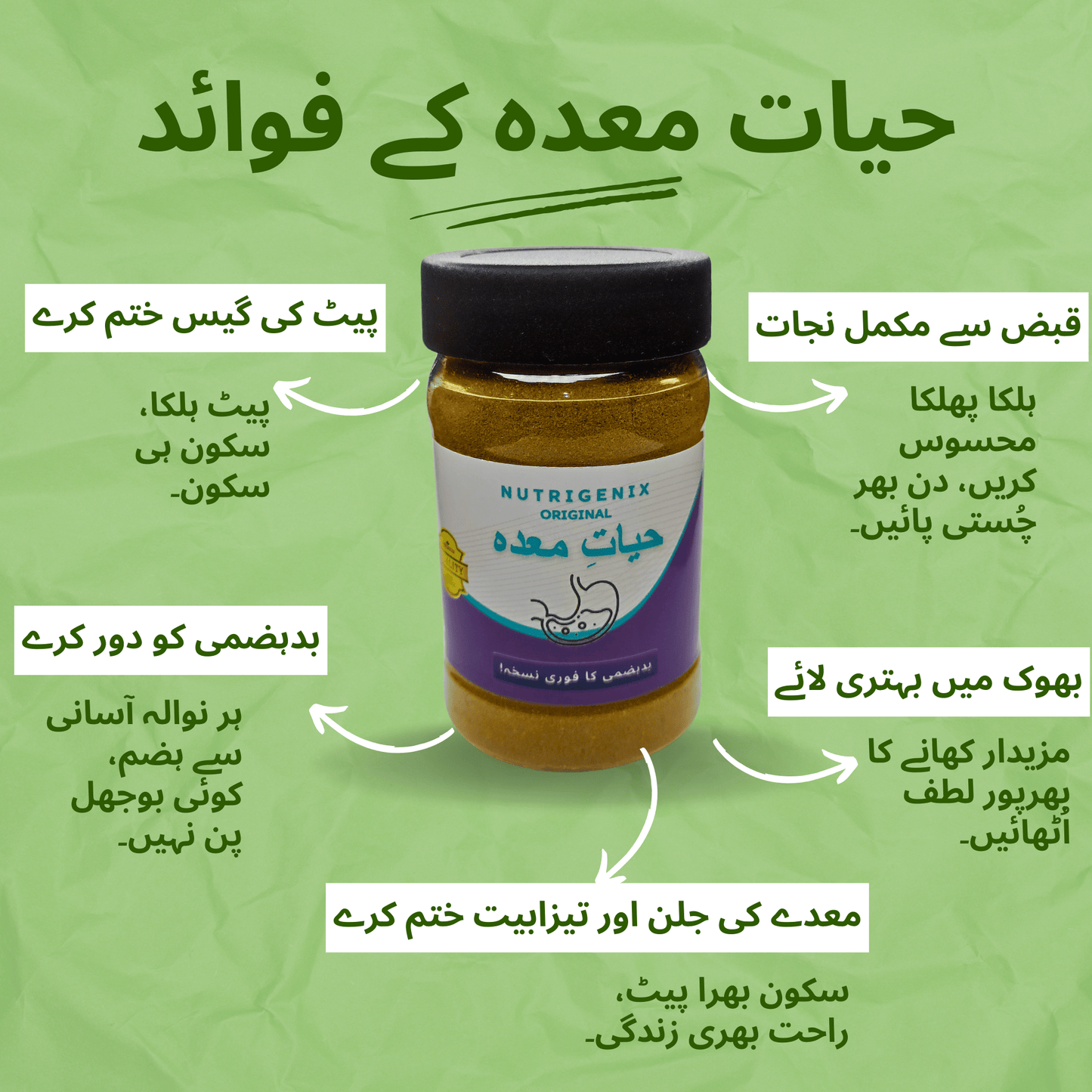 Hayat-e-Maida
