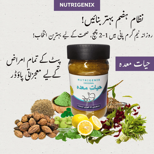 Hayat-e-Maida