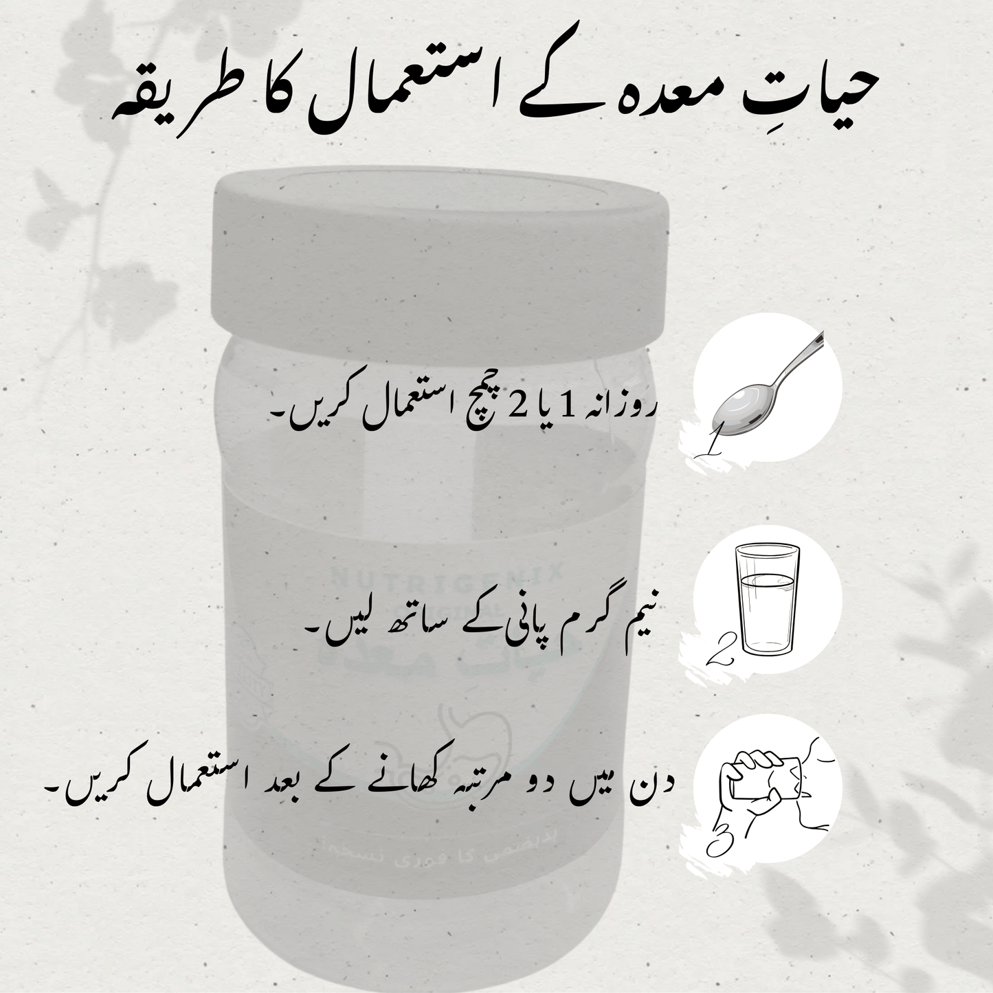 Hayat-e-Maida